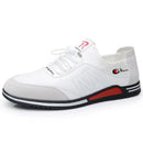 41658403946574|41658403979342|41658404012110|41658404044878|41658404077646|41658404110414